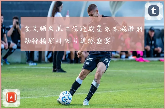 惠灵顿凤凰主场迎战墨尔本城胜利期待精彩对决与进球盛宴