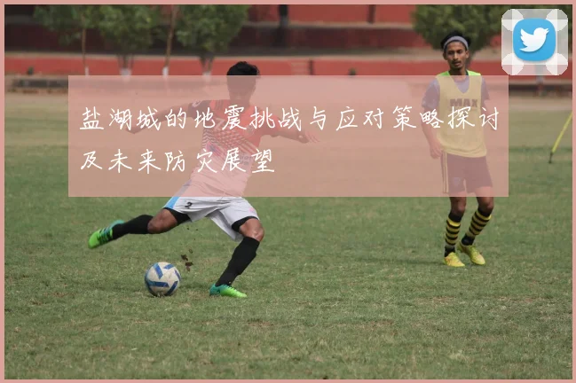 盐湖城的地震挑战与应对策略探讨及未来防灾展望